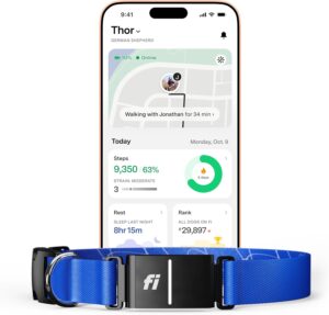 Fi Series 3 Smart Dog Collar - GPS Tracker