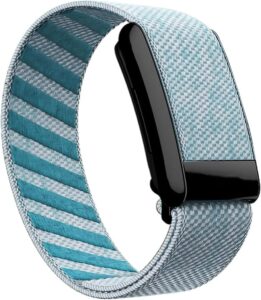 Whoop 4.0 Nylon Strap