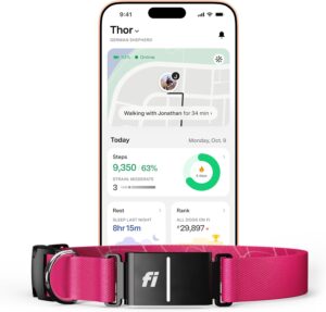 Fi Series 3+ GPS Dog Collar & Activity Monitor