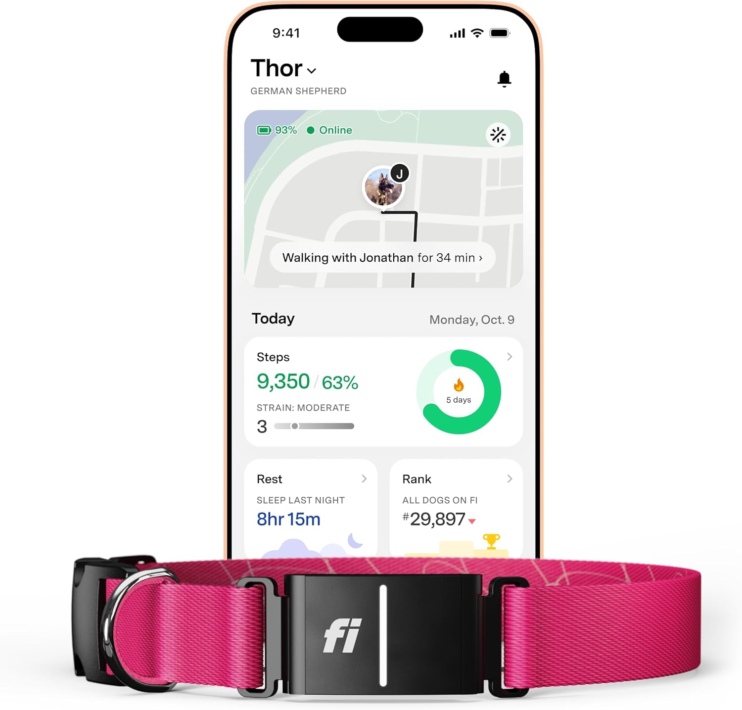 Fi Series 3+ GPS Dog Collar & Activity Monitor