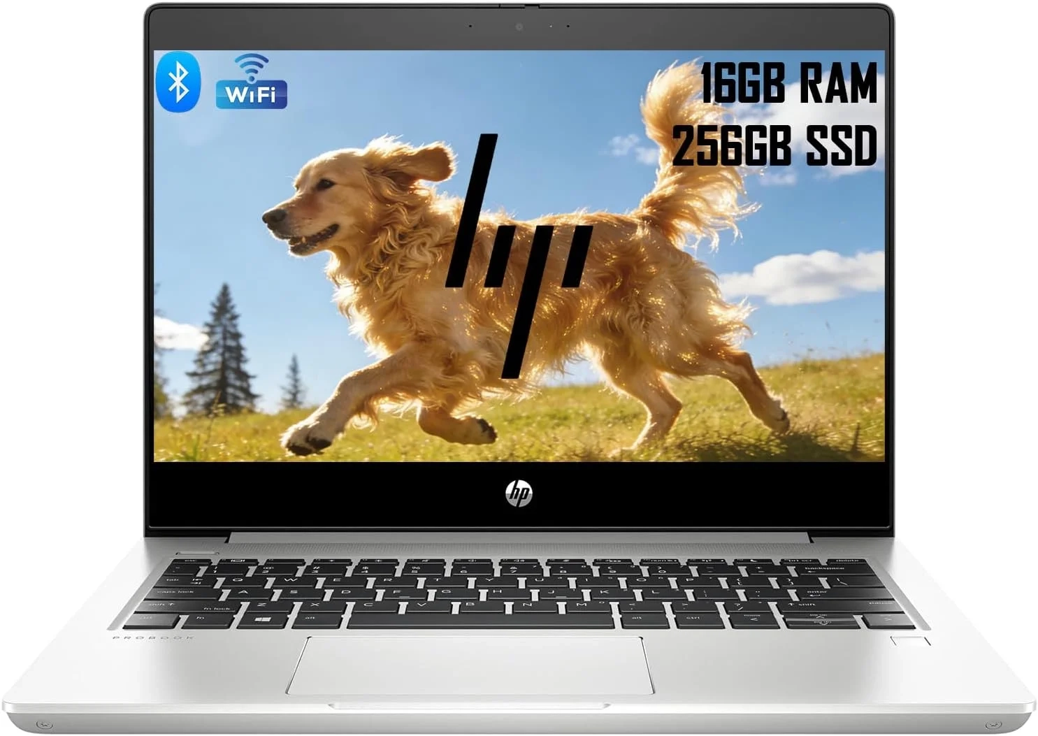 HP ProBook 430 G7 Business Laptop, Core i3-10110, 16GB RAM, 256 GB SSD, 13.3" HD, Windows 11...