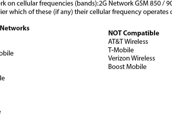 BLU Tank Mini T650 Unlocked Cellphone