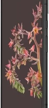 Google Pixel 6 128GB Unlocked Smartphone